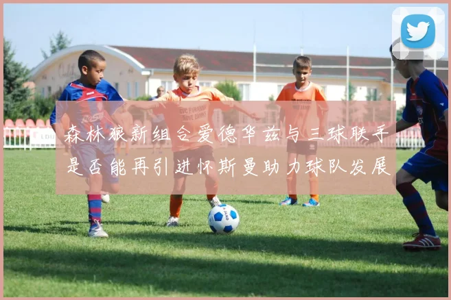 森林狼新组合爱德华兹与三球联手是否能再引进怀斯曼助力球队发展