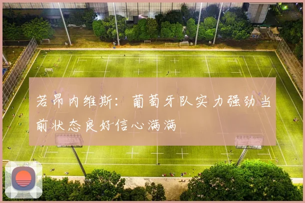若昂内维斯：葡萄牙队实力强劲当前状态良好信心满满