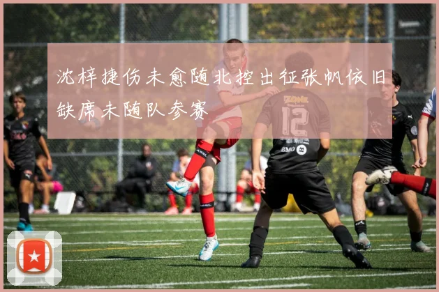 沈梓捷伤未愈随北控出征张帆依旧缺席未随队参赛